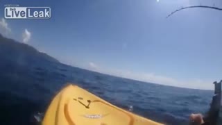 ماهی 500 پوندی و ماهیگیر!!؟