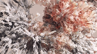 هارمونی ذرات از نگاه میکروسکوپ