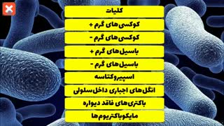 جمع بندی تست محور  باکتری شناسی علوم پایه پزشکی و دندانپزشکی
