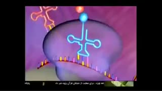 تاثیر نماز بر بدن