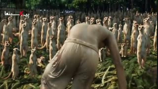 سکانس جزیره در فیلم زندگی پی(Life of Pi,2012)