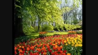 دل تکونی مهم تر از خونه تکونیه(لطفا همه بیان توضیحات حتی اونایی که باهام مشکل دارن)