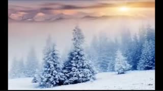 زیبایی زمستان.....