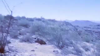 ویدیو جالب بدنسازی