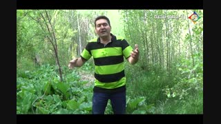 چگونه با آرایش مثبت ذهن دیگران خیر و برکت را جاری کنیم؟