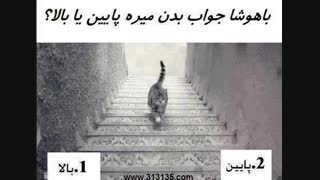 جواب سوال گربه  که پایین میره یا بالا