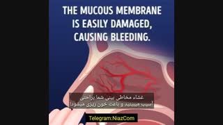 چرا میگن دست تو بینی نکنیم