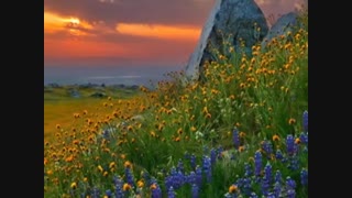 کویر کنعان : شعر منصور خورشیدی با صدای شاعر