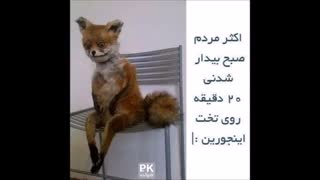 شمام اینجوریید یا من فقط اینطوریم؟؟؟؟؟؟؟؟؟؟؟؟؟؟؟؟؟؟؟؟؟؟؟/