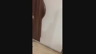 در ضد سرقت سفید ساخت ترکیه