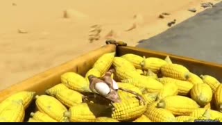 انیمیشن اسکار قسمت 20