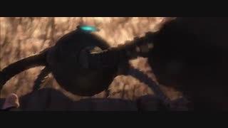 شگفت انگزان