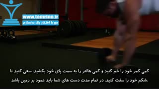 آموزش حرکت بدنسازی هالتر شکم غلطک Barbell Ab Rollout
