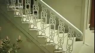 دانلود قسمت 49 ملکه شب کیفیت اورجینال(قسمو 50 و 51 و 53 و...داخل کانال @galleryfilmdl