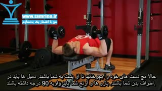 آموزش حرکت پرس سینه دمبل Dumbbell Bench Press