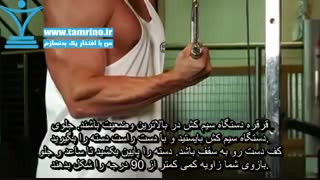 آموزش حرکت سیم کش پشت بازو تک دست ایستاده Cable One Arm Tricep Extension