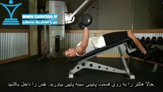 آموزش حرکت پرس هالتر پشت بازو دست نزدیک به جمجمه سنگ شکن روی نیمکت کاهشی Decline  Skull Crusher