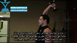 آموزش حرکت دمبل پشت بازو ایستاده تک دست Dumbbell One-Arm Triceps Extension