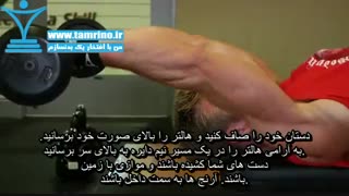 آموزش حرکت پشت بازو هالتر روی نیمکت به پشت سر Lying Close-Grip Barbell Triceps Extension Behind The Head