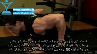آموزش حرکت پشت بازو جفت دمبل نشسته خم Seated Bent-Over Two-Arm Dumbbell Triceps Extension