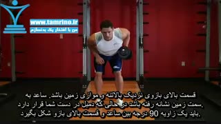 آموزش حرکت پشت بازو دمبل تک دست ایستاده خم Standing Bent-Over One-Arm Dumbbell Triceps Extension