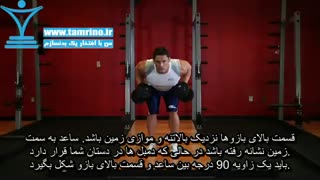 آموزش حرکت پشت بازو جفت دمبل ایستاده خم Standing Bent-Over Two-Arm Dumbbell Triceps Extension
