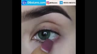 لنز رنگی دسیو جدید سبز Desio New Jungle Fever