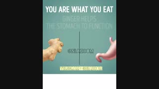 شباهت میوه ها به اعضای بدن