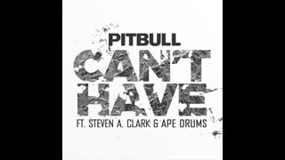 آهنگ خارجی شاد Pitbull – Can’t Have ft. Steven A. Clark