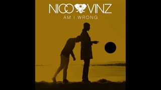 آهنگ خارجی عاشقانه Nico Vinz - Am I Wrong