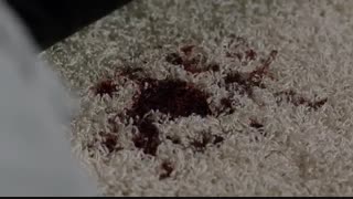 سریال سوپرنچرال فصل دوازدهم قسمت هفتم - با زیرنویس فارسی آنلاین