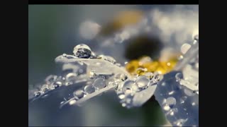 تمنای موج‌های جهنده : شعر منصور خورشیدی با صدای اصغر معینی