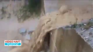 وقتی سیل می‌آید