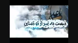 نماهنگ  نیست به غیر از تو تمنای من - میلاد امام علی(ع) مبارک