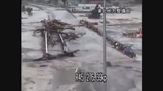 سیل در ژاپن