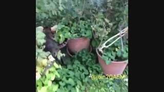حتما نگاه کنیییید :-)