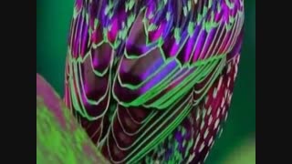فراسوی دیدن(3)