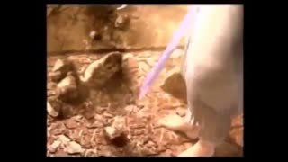 creation greek myth\