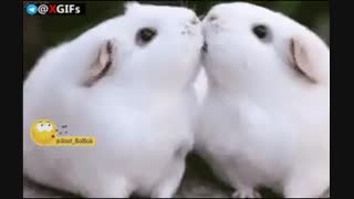 دو تا اسکل خخخخ