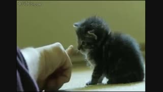 خخخخ خاموش شد