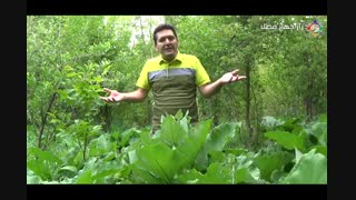 از قصه حضرت یوسف می تونیم برای موفقیت امروز استفاده کنیم