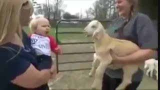 گفتگوی بچه و بره خخخخ