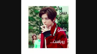 تولدت مبارک لولو