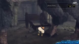 راهنمای دریافت تروفی Broad-Backed در بازی The Last Guardian