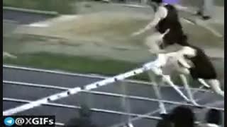 داداش قبول....بیخیااااال....تو قهرمانی