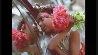 حمایت از بچه های کار