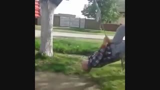 پدربزرگ با کودک درونش به فنا رفت