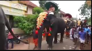 خصومت شخصی داشت باهاش