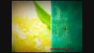 مبعث حضرت رسول (ص)