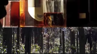 شباهت بعضی اتفاقات به بعضی دیگه.